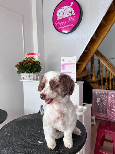 Hình ảnh Dalat Happy pets - 3