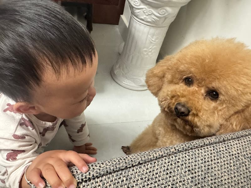 Hình ảnh Sam Pets Care - Spa thú cưng Đà Lạt - 2