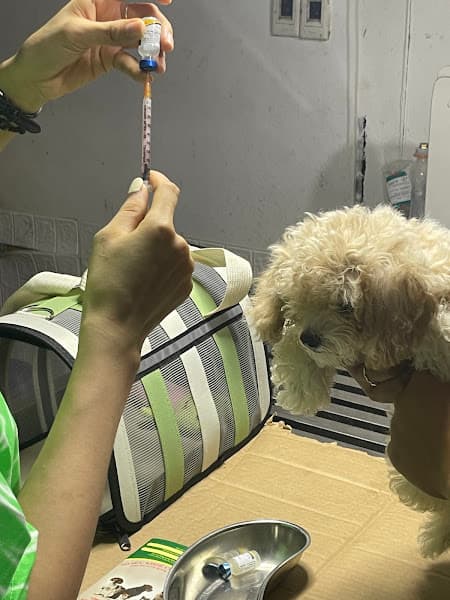 Hình ảnh Thế Giới Thú Cưng Đà Nẵng - 4