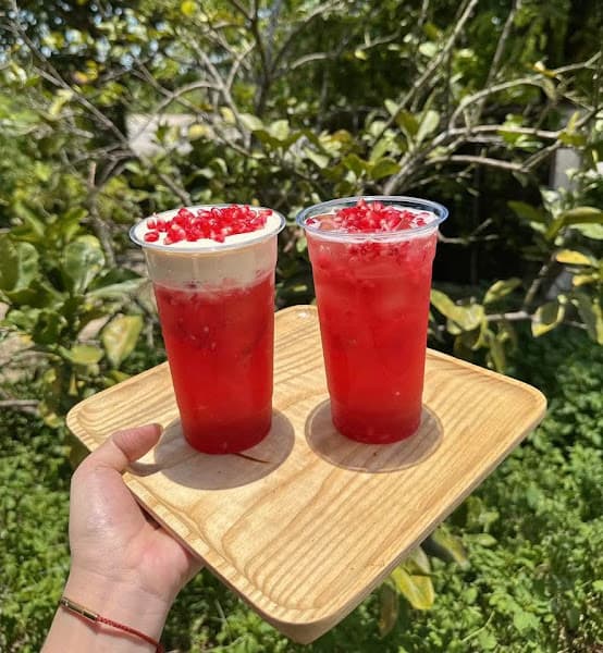 Hình ảnh Pet Store Méo Mèo Meo - 2