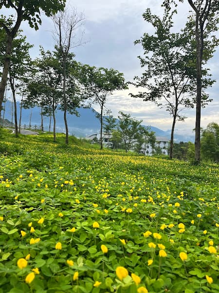 Hình ảnh Lâm viên Lai Châu - 3