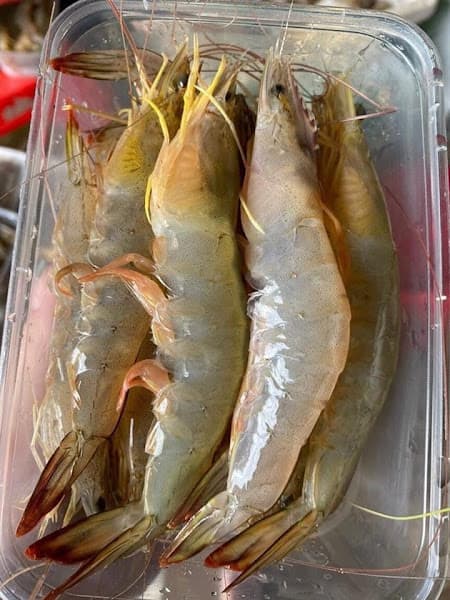 Hình ảnh Hải Sản Chuẩn Quảng Ninh - An Ớt - 4