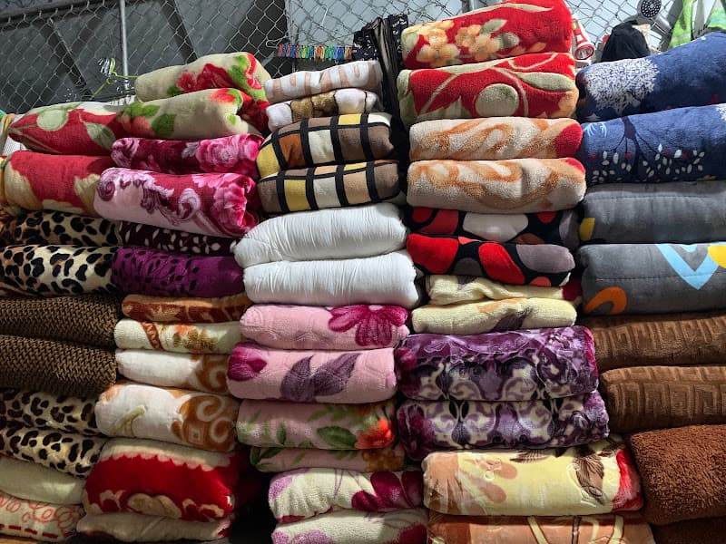 Hình ảnh Giặt Là Hoa Cúc - 4