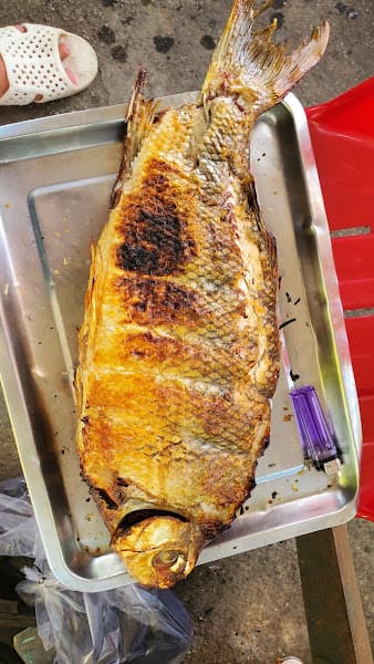 Hình ảnh Quán nhậu cây Dừa - 3