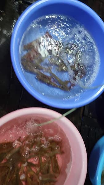 Hình ảnh Nhà bè Biển mơ - 4