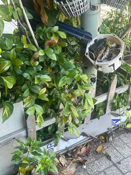 Hình ảnh Quán Ăn Gia Đình Chay Phước Tài - 2