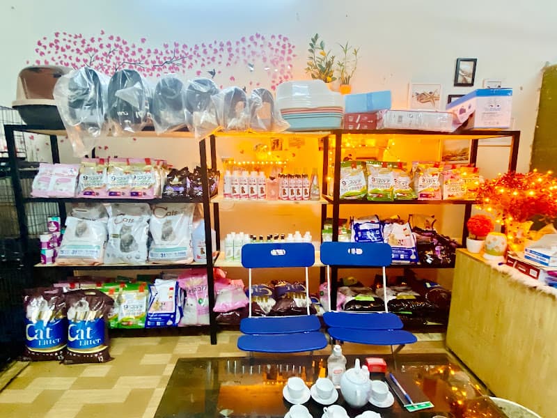 Hình ảnh Spa thú cưng Sam Pet Hưng yên - 3