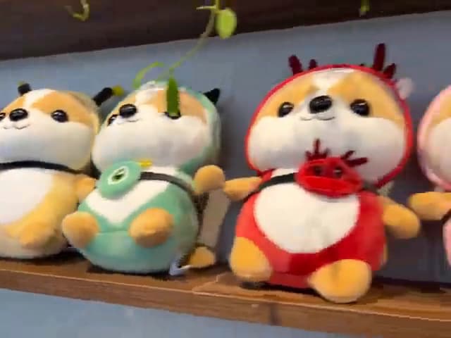 Hình ảnh The Corgi Coffee 24/7 - 3