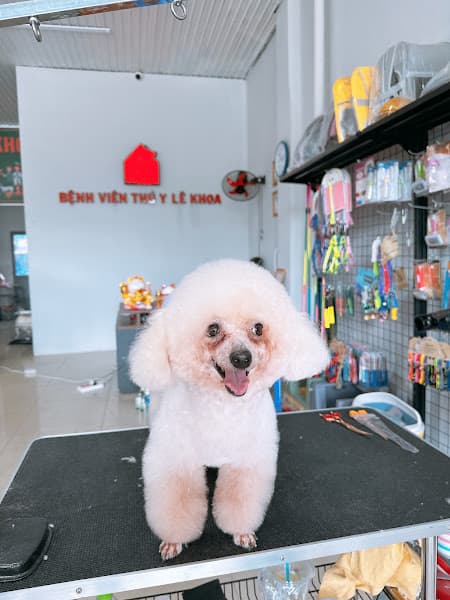 Ảnh bìa Bệnh Viện Thú Y Lê Khoa Định Quán