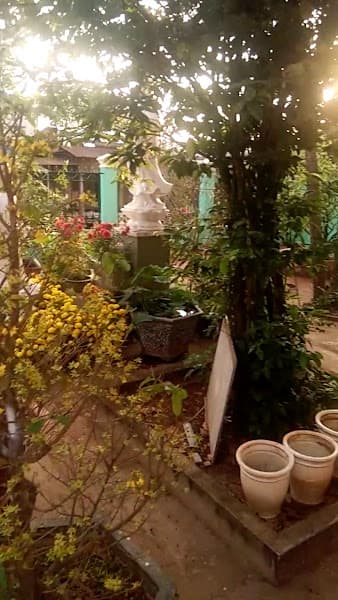 Hình ảnh Quán ăn nhật trường - 3