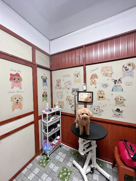 Hình ảnh Teddy Pet Shop - 6