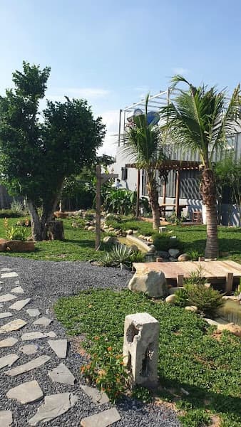 Lavender Vĩnh Cửu