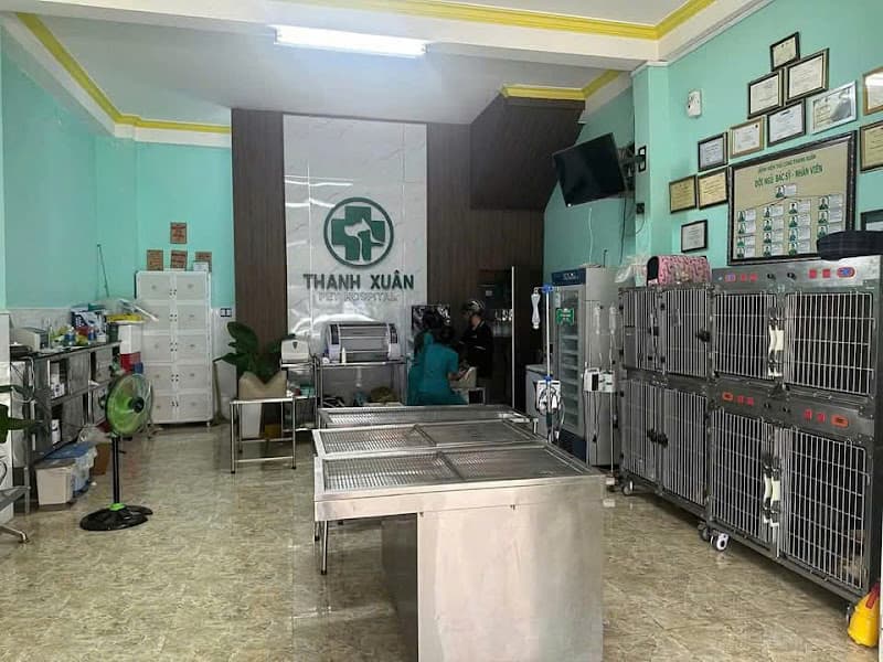 Hình ảnh THANH XUAN PET HOSPITAL - Bệnh viện thú cưng THANH XUÂN - 3