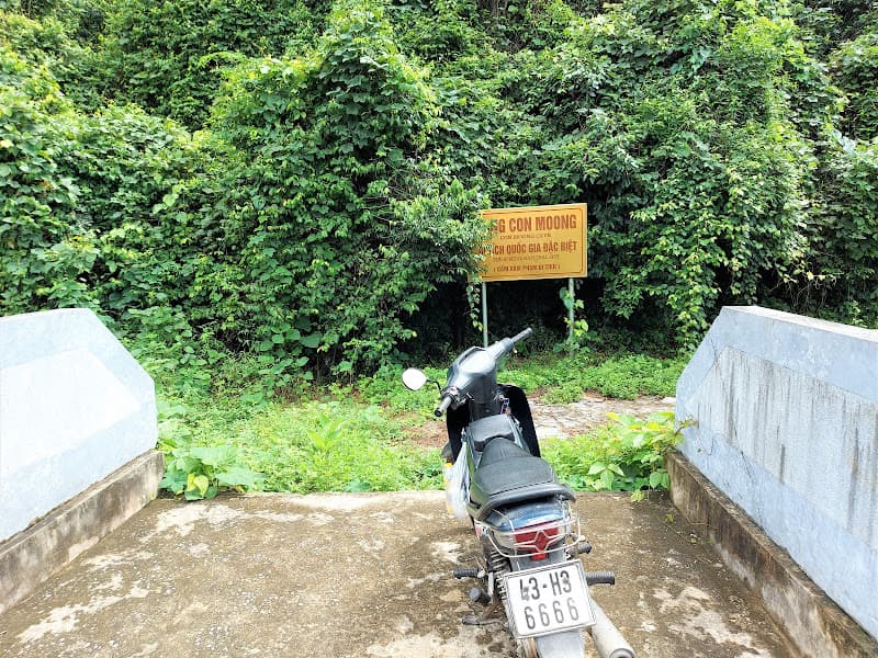 Hình ảnh Hang Con Moong - 5