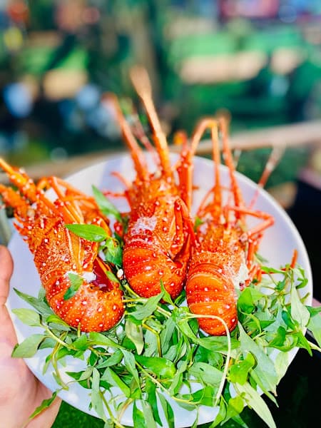 Hình ảnh Nhà Hàng Khế Vàng - 10