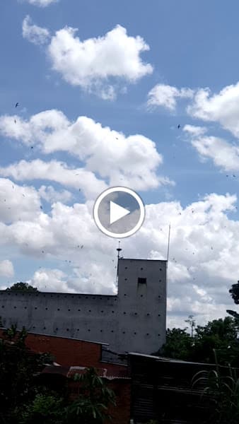 Hình ảnh YẾN SÀO LỘC TRỜI - 4