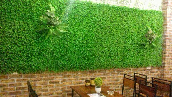 Trà Sữa DUY BẢO