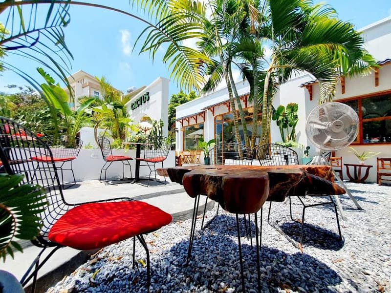 Ảnh bìa Cactus Phan Chu Trinh