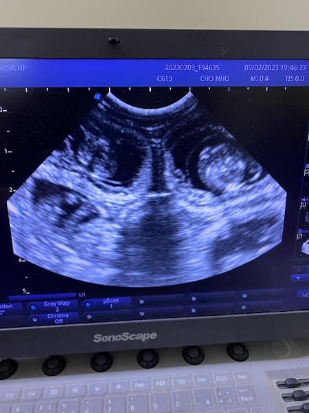 Hình ảnh Phòng Khám Thú Y Mypet Hải Phòng - 9