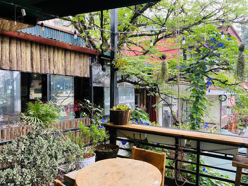 Ảnh bìa ChuSu Kitchen