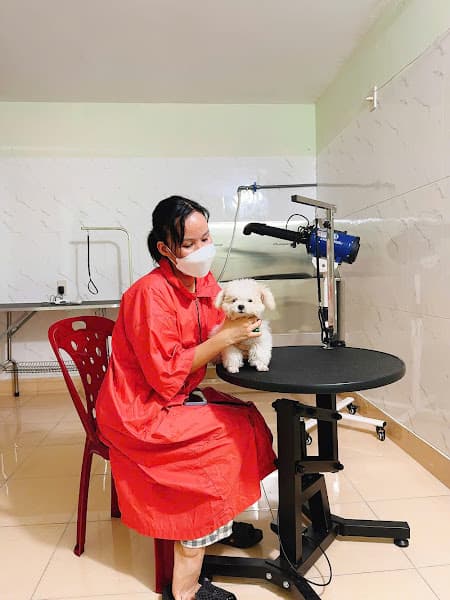 Hình ảnh Happy Pet - Dịch vụ thú cưng Đà Nẵng - 5