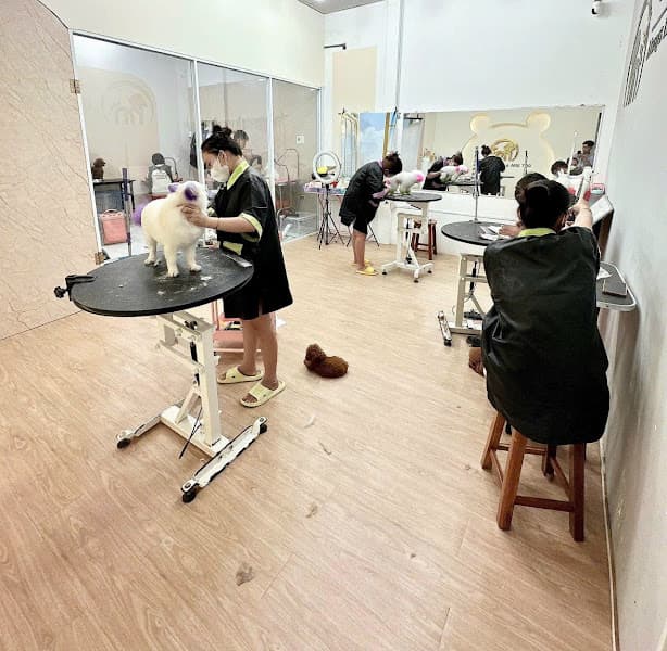 Hình ảnh Shop Thú Cưng Bến Tre NN Pet Paradise - 2