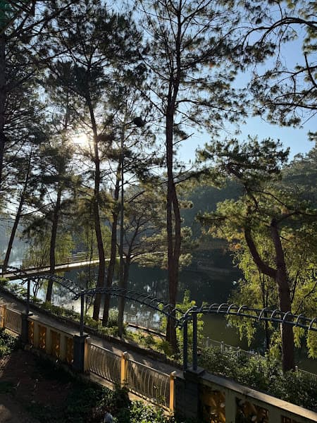 Hình ảnh Trà Cung Đình - 3