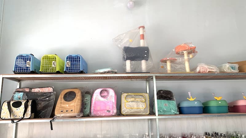 Hình ảnh Thú y Lucky Pets - 3