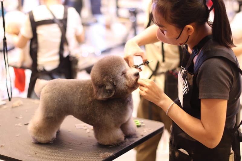 Hình ảnh Alo PET - 5