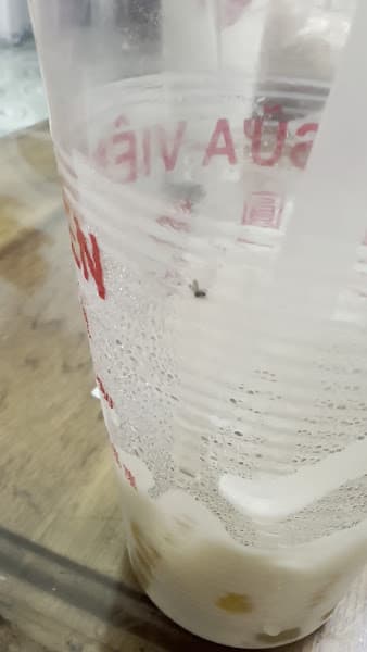 Hình ảnh Trà sữa viên viên Bùi Văn Hoà - 2