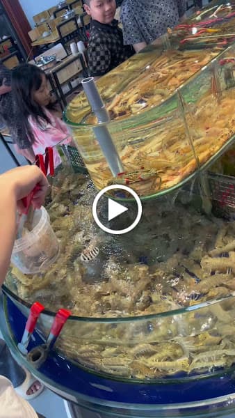 Hình ảnh Nhà Hàng Hải Âu Cô Tô - 5