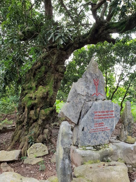 Hình ảnh Đền Gắm - 5