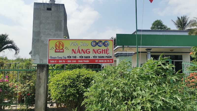 Ảnh bìa Yến sào Nắng Nghệ