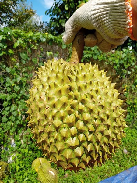 Hình ảnh Quán võng 25 - 4
