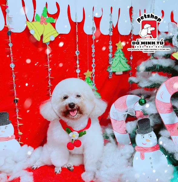 Hình ảnh Spa Thú Cưng Mỹ Tho - Đỗ Minh Tú PetShop - 6