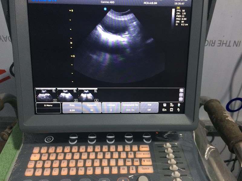 Hình ảnh Bệnh Viện Thú Y OKADA Pet Hospital - 5