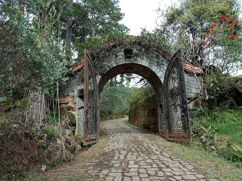 Hình ảnh Công Ty CP Du Lịch Giao Hưởng Xanh - Rừng Giao Hưởng - 2