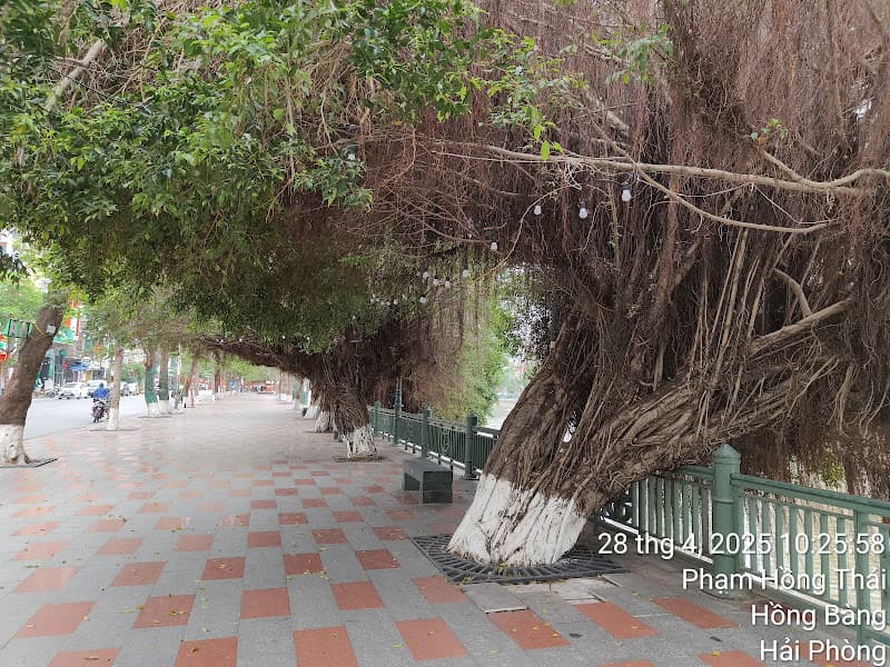 Ảnh bìa Phố đi bộ Hải Phòng
