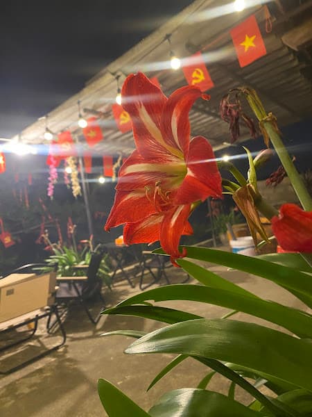 Hình ảnh Quán cafe caca - 4