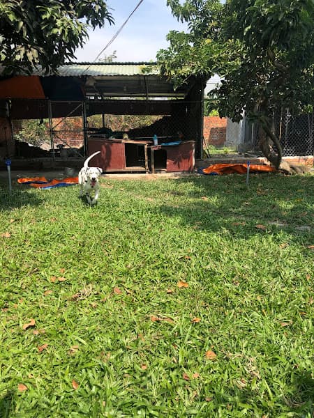 Ảnh bìa Trại chó Tây Ninh