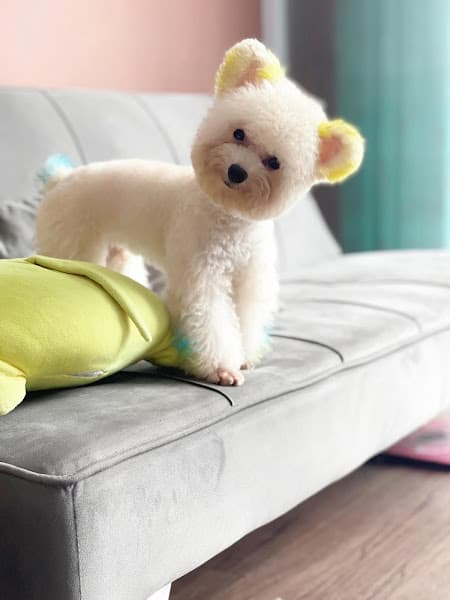 Hình ảnh Hope pet shop - 2