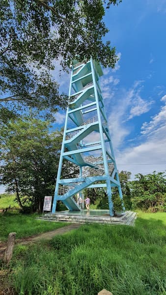 Hình ảnh Vườn Quốc Gia U Minh Hạ - 2