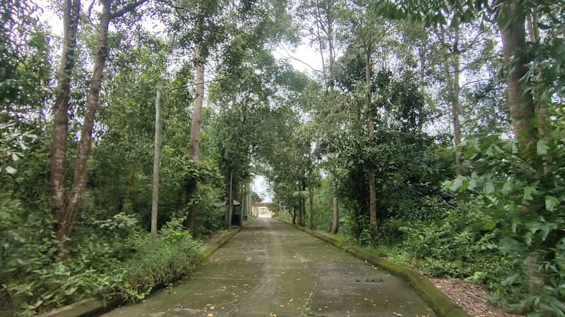 Hình ảnh Khu di tích lịch sử cách mạng Cái Ngang - 3