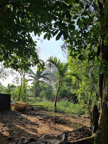 Hình ảnh Quán Ăn Gia Đình 10 Tính - 5