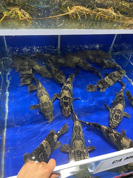 Hải sản 198 Phổ Yên