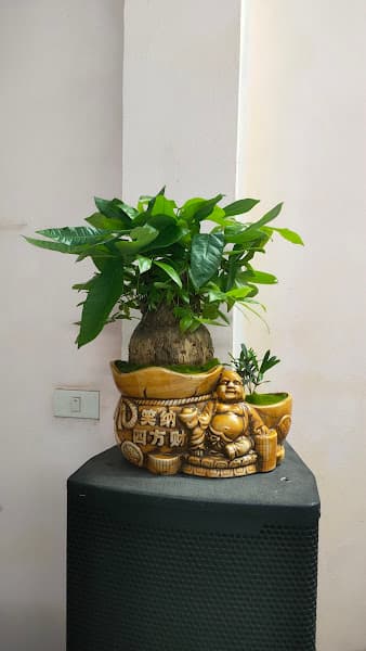 Hình ảnh Nhà Hàng Hải Sản Sầm Sơn - 2