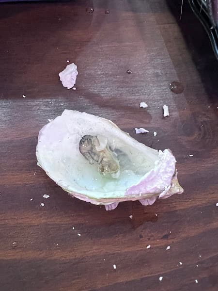 Hình ảnh Foody Buffet Trảng Bom - 3