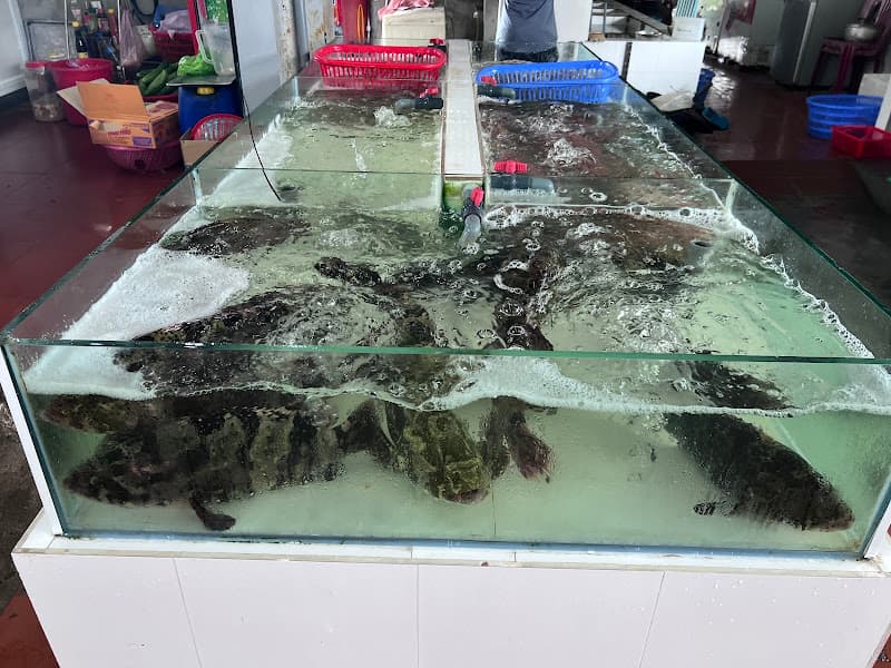 Hình ảnh NHÀ HÀNG ĐỒ SƠN 689 - 7