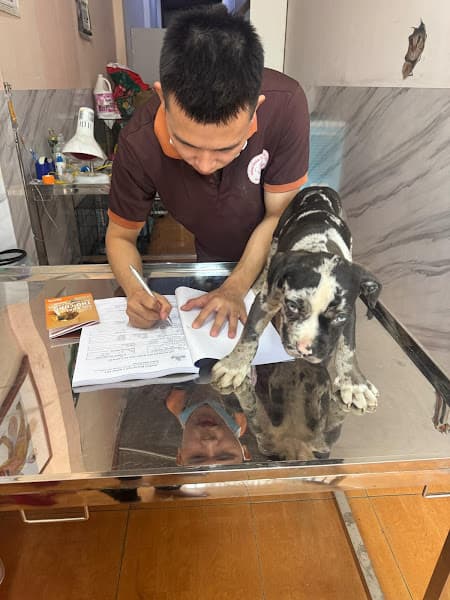 Hình ảnh Phòng Khám Thú Y - Petshop Hùng Vet - 4