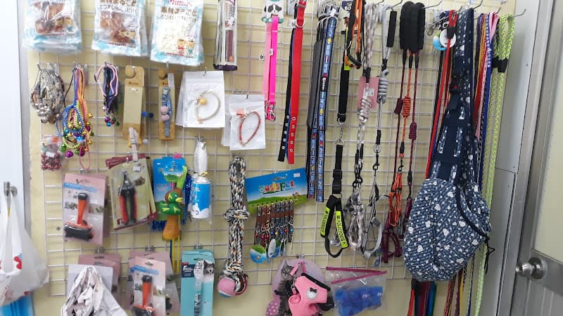 Hình ảnh Lu Family - 4